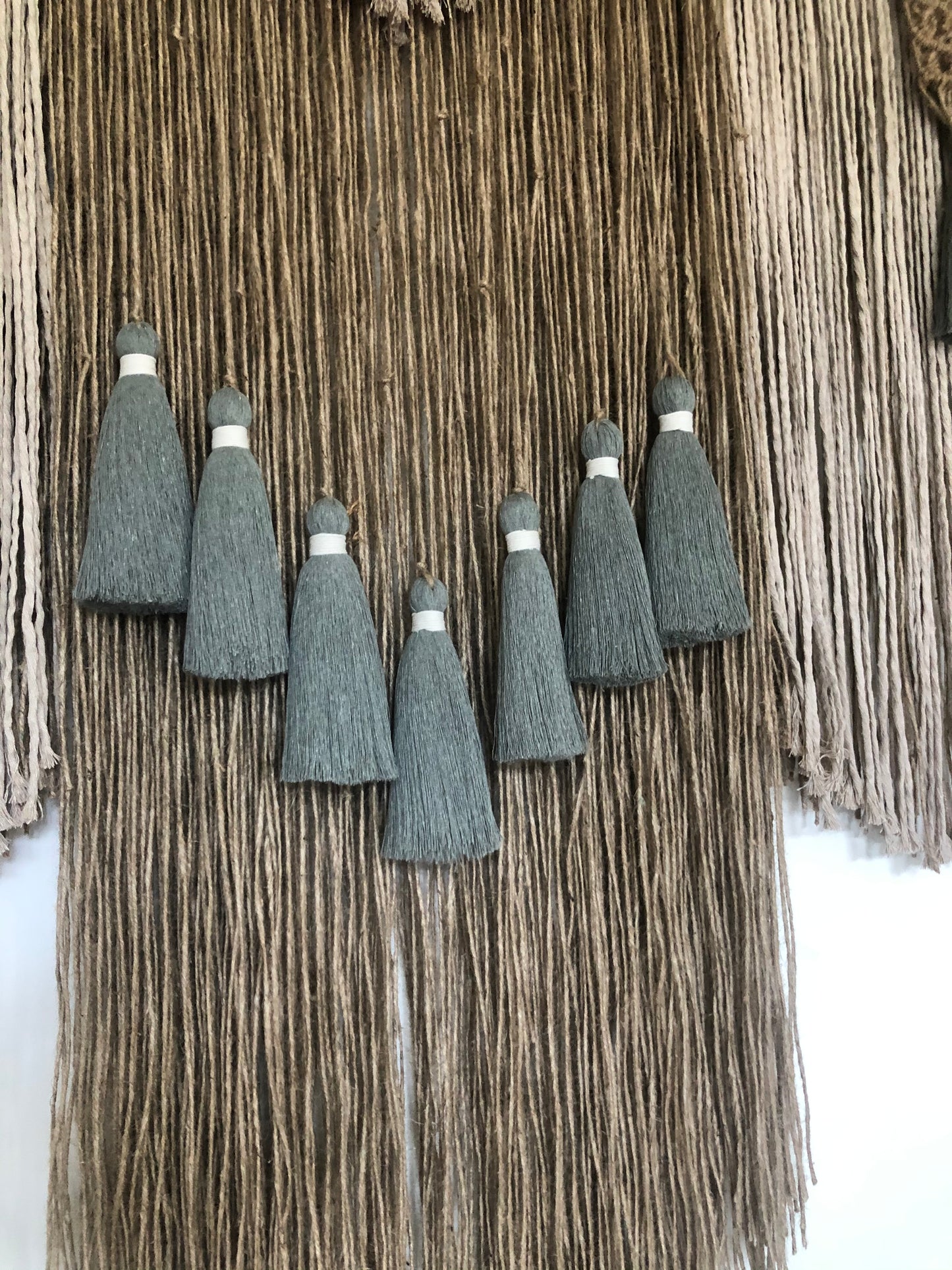 XHEZA - "Escama" en Zapoteco